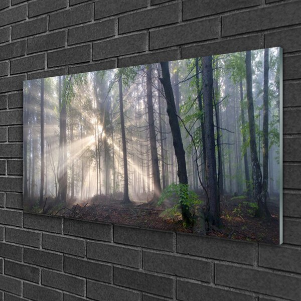 Obraz na skle Les príroda 100x50 cm 2 Prívesky