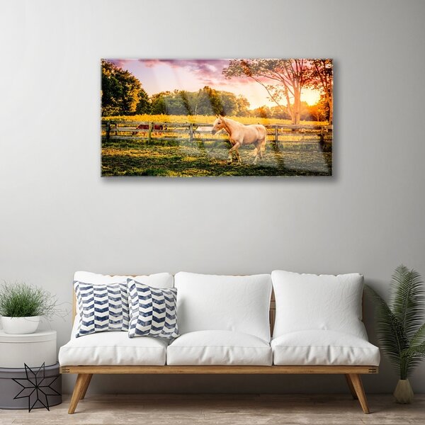 Obraz na skle Kôň lúka zvieratá 100x50 cm 2 Prívesky