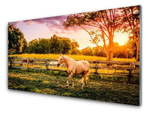 Nástenný panel  Kôň lúka zvieratá 100x50 cm