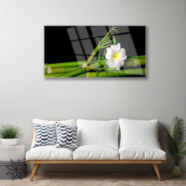 Obraz na skle Bambus kvet rastlina 100x50 cm 2 Prívesky