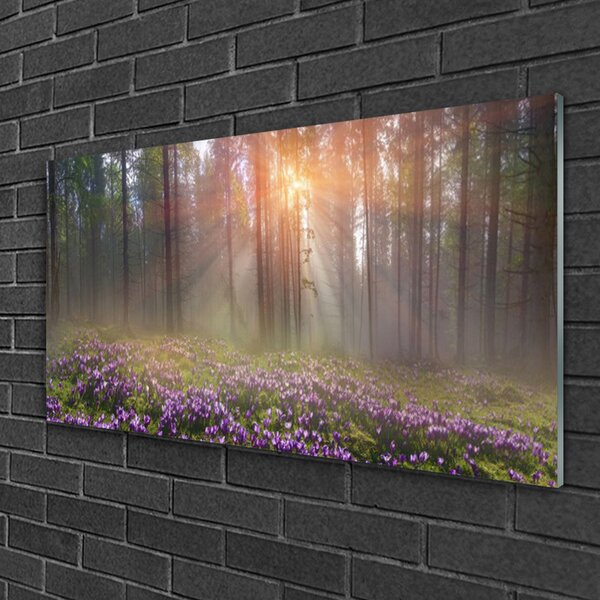Obraz na skle Les kvety rastlina príroda 100x50 cm 2 Prívesky