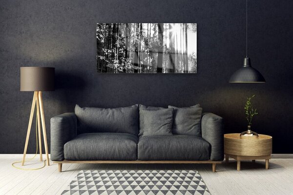 Obraz na skle Les príroda 100x50 cm 2 Prívesky