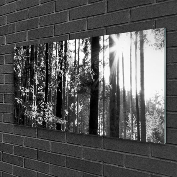Obraz na skle Les príroda 100x50 cm 2 Prívesky