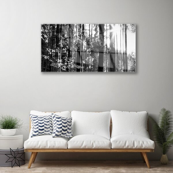 Obraz na skle Les príroda 100x50 cm 2 Prívesky
