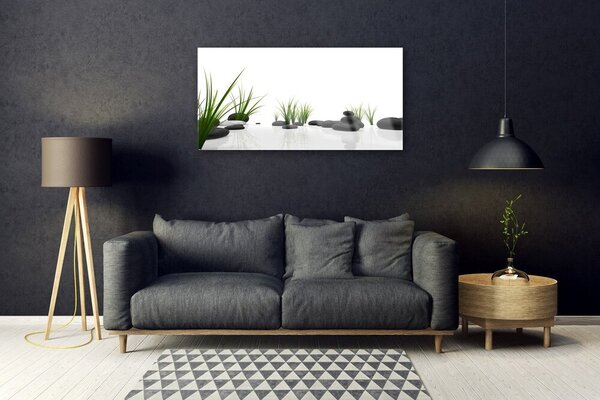 Obraz na skle Kamene tráva umenie 100x50 cm 2 Prívesky