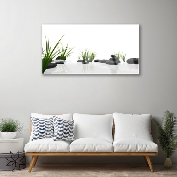 Obraz na skle Kamene tráva umenie 100x50 cm 2 Prívesky