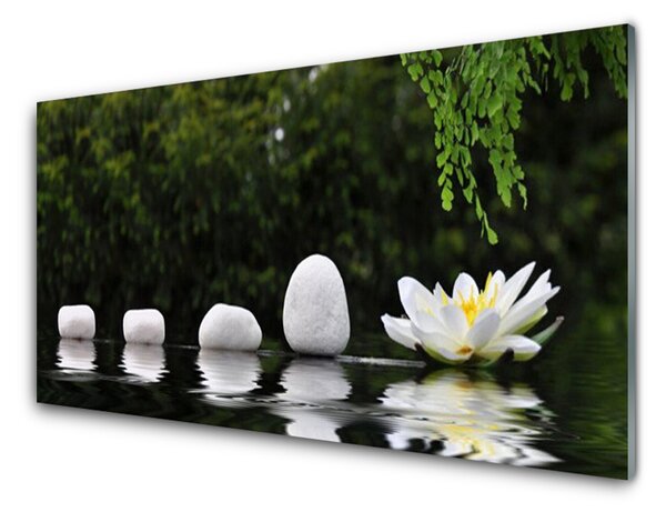 Nástenný panel  Kamene kvet umenie 100x50 cm