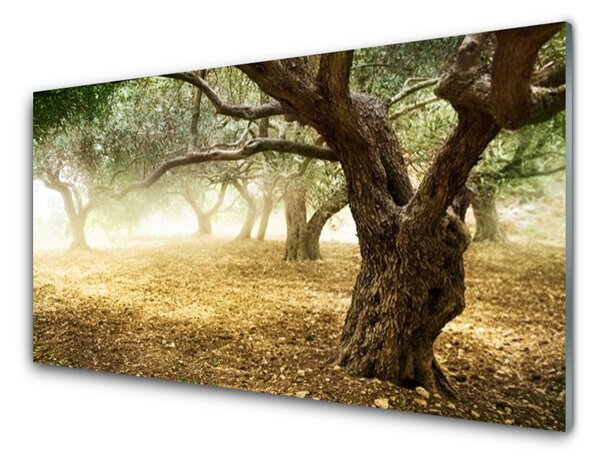Nástenný panel  Strom tráva príroda 125x50 cm