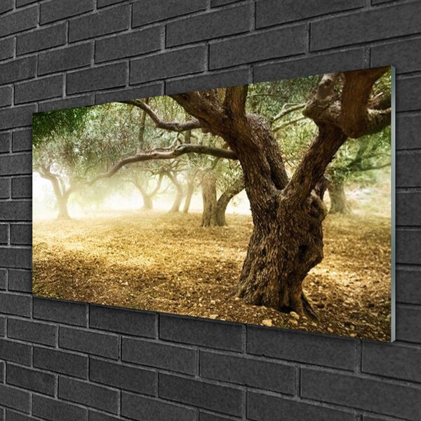 Obraz na skle Strom tráva príroda 100x50 cm 2 Prívesky