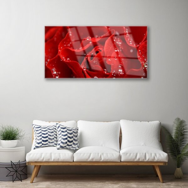 Obraz na skle Ruže kvet rastlina 100x50 cm 2 Prívesky