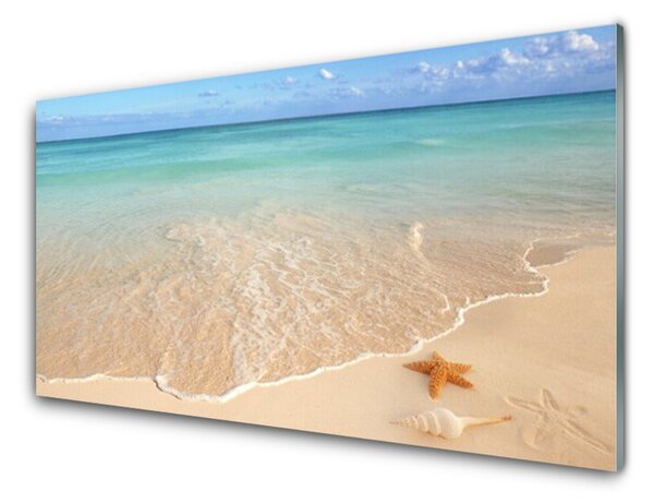 Nástenný panel  Pláž hviezdice príroda 100x50 cm