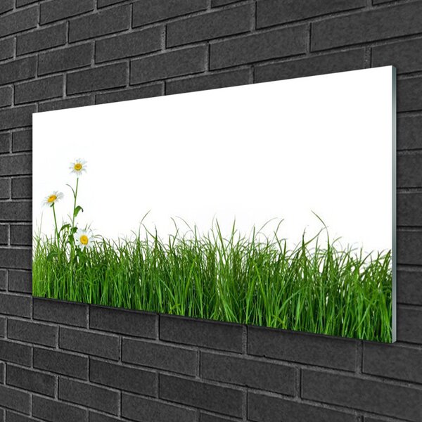 Obraz na skle Burina príroda rastlina 100x50 cm 2 Prívesky