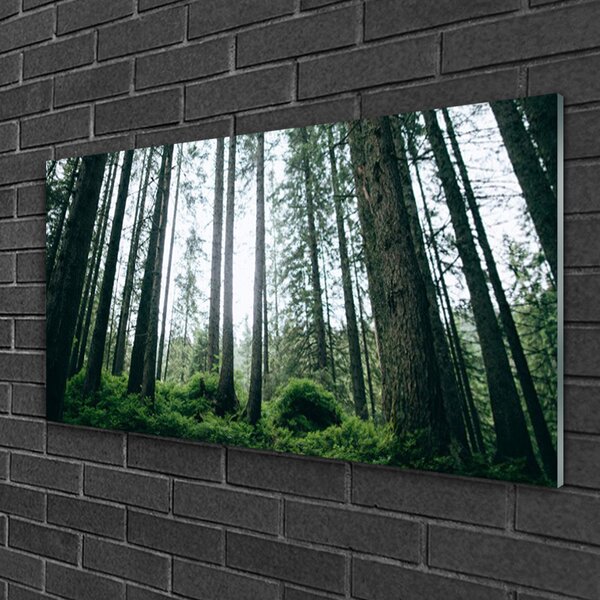 Obraz na skle Les príroda 100x50 cm 2 Prívesky