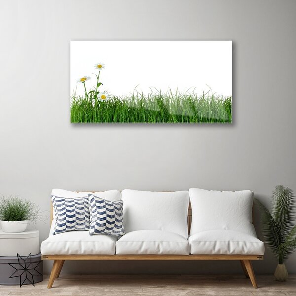 Obraz na skle Burina príroda rastlina 100x50 cm 2 Prívesky