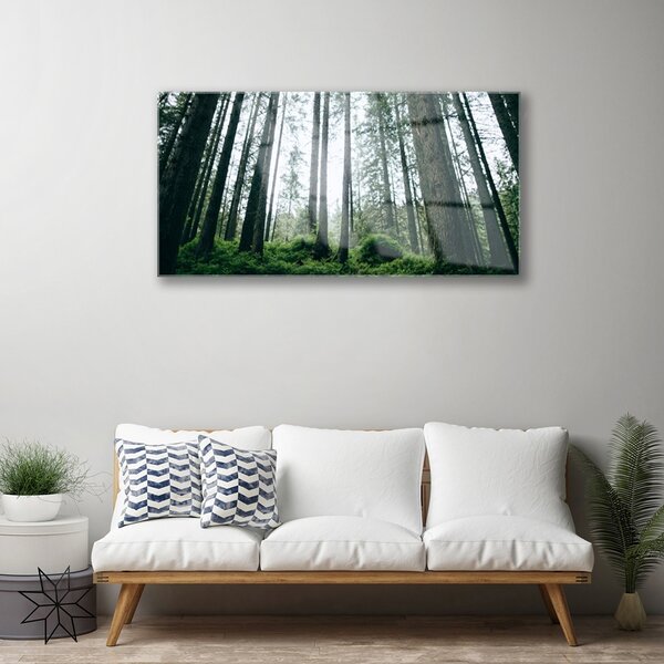 Obraz na skle Les príroda 100x50 cm 2 Prívesky