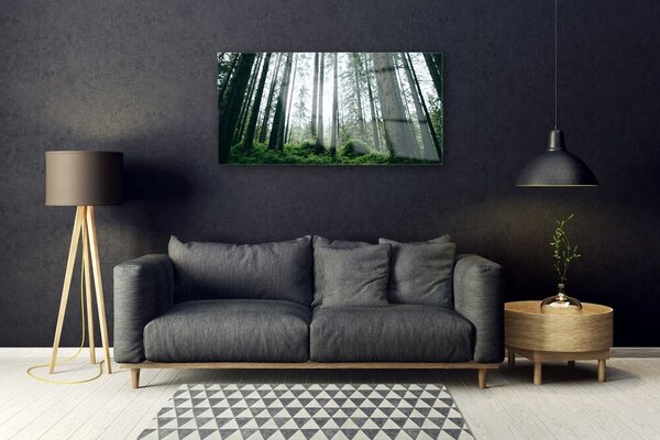 Obraz na skle Les príroda 100x50 cm 2 Prívesky