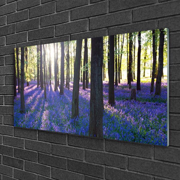 Obraz na skle Les príroda 100x50 cm 2 Prívesky