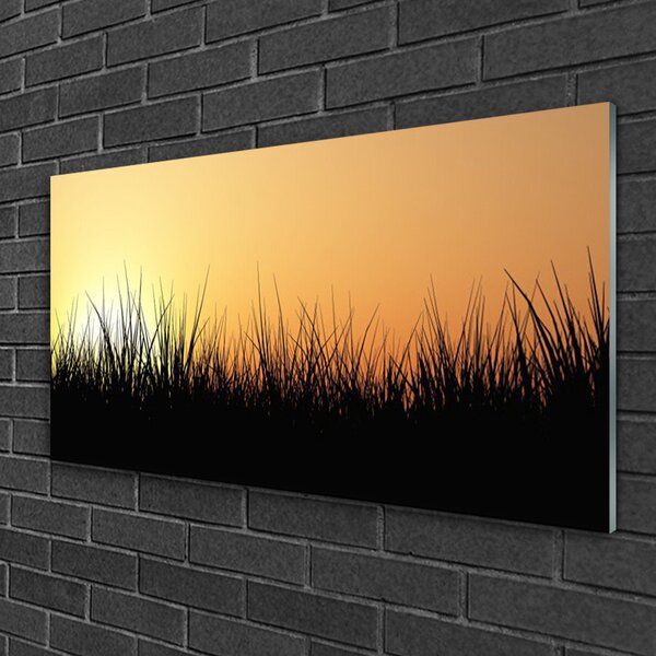 Obraz na skle Burina príroda rastlina 100x50 cm 2 Prívesky
