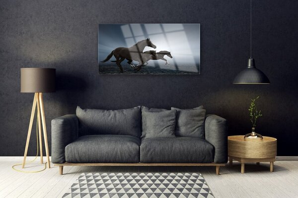 Obraz na skle Kone zvieratá 100x50 cm 2 Prívesky