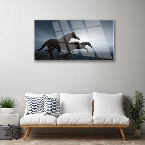 Obraz na skle Kone zvieratá 100x50 cm 2 Prívesky