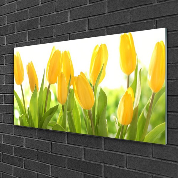 Skleneny obraz Tulipány kvety rastlina 100x50 cm 2 Prívesky