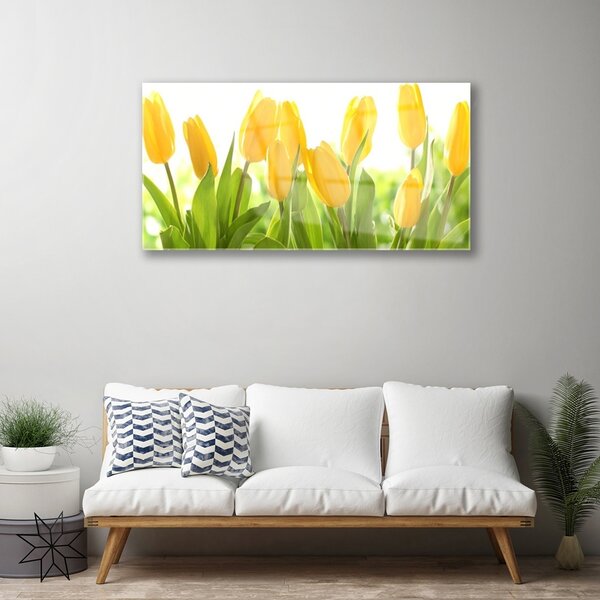 Skleneny obraz Tulipány kvety rastlina 100x50 cm 2 Prívesky