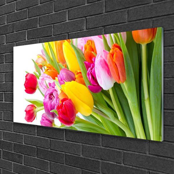 Skleneny obraz Tulipány kvety rastlina 100x50 cm 2 Prívesky