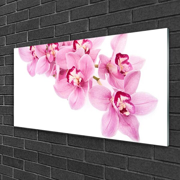 Skleneny obraz Kvety rastlina príroda 100x50 cm 2 Prívesky
