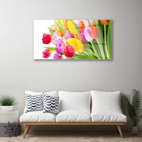 Skleneny obraz Tulipány kvety rastlina 100x50 cm 2 Prívesky