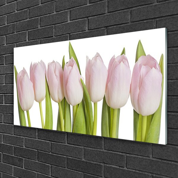 Skleneny obraz Tulipány kvety rastlina 100x50 cm 2 Prívesky