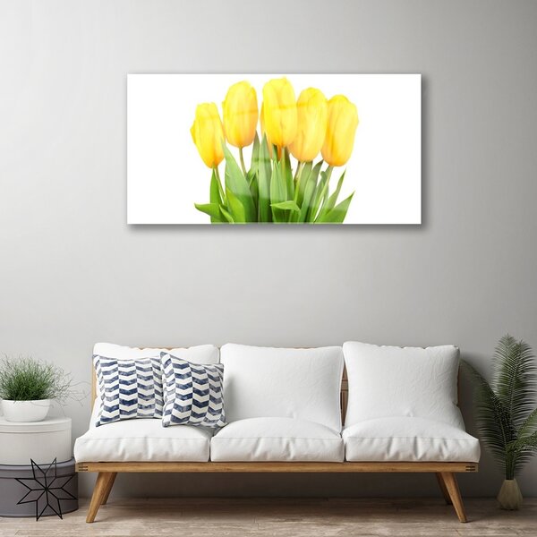 Skleneny obraz Tulipány kvety rastlina 100x50 cm 2 Prívesky