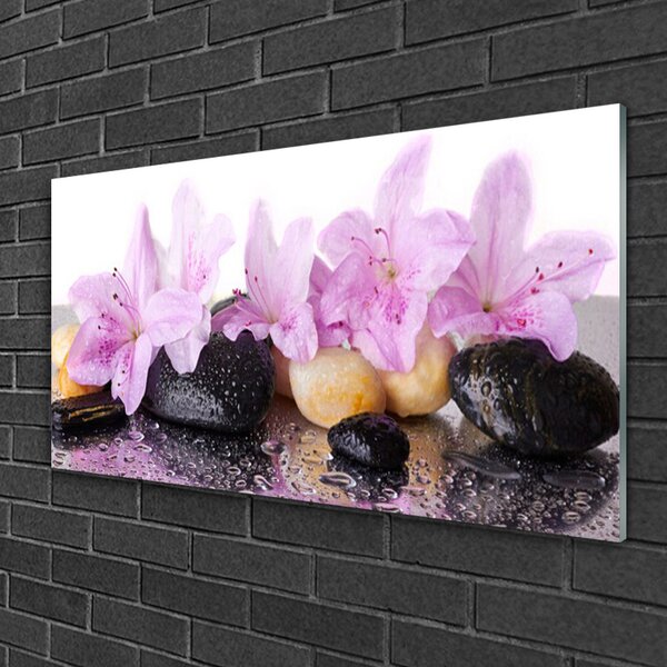 Skleneny obraz Kvet kamene rastlina 100x50 cm 2 Prívesky