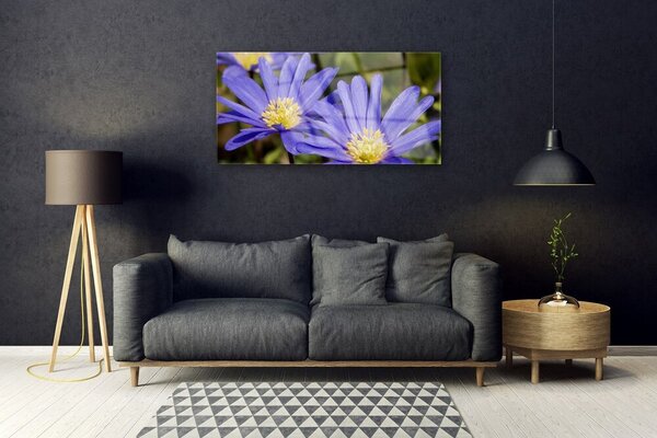 Skleneny obraz Kvety rastlina príroda 100x50 cm 2 Prívesky