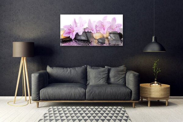 Skleneny obraz Kvet kamene rastlina 100x50 cm 2 Prívesky