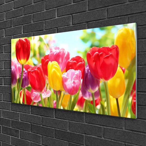 Skleneny obraz Tulipány kvety rastlina 100x50 cm 2 Prívesky