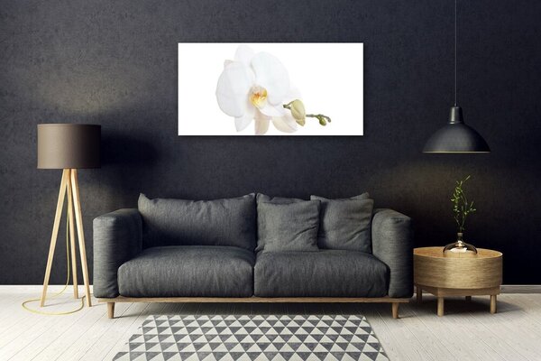 Skleneny obraz Kvet rastlina príroda 100x50 cm 2 Prívesky