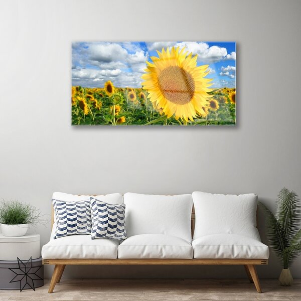 Skleneny obraz Slnečnica kvet rastlina 100x50 cm 2 Prívesky