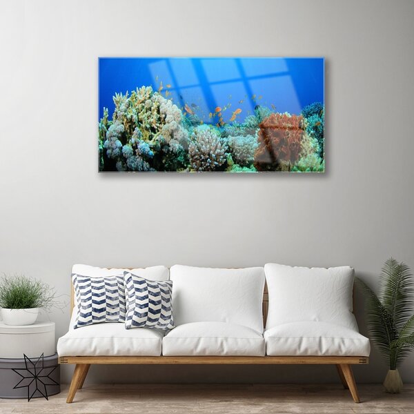 Skleneny obraz Koralový útes príroda 100x50 cm 2 Prívesky