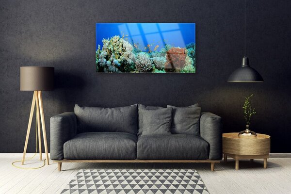 Skleneny obraz Koralový útes príroda 100x50 cm 2 Prívesky