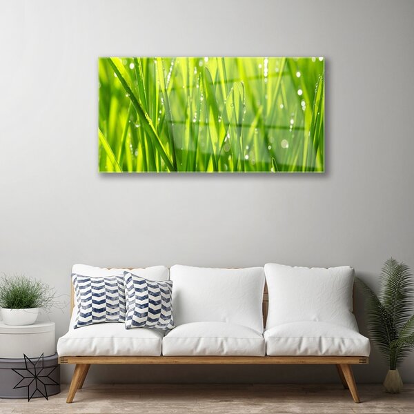 Skleneny obraz Tráva rastlina príroda 100x50 cm 2 Prívesky