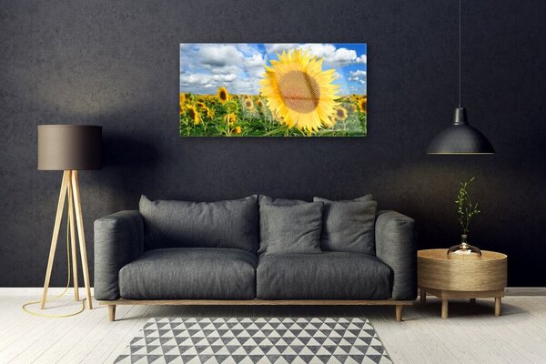 Skleneny obraz Slnečnica kvet rastlina 100x50 cm 2 Prívesky