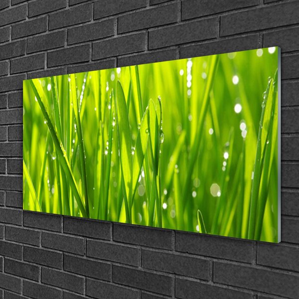 Skleneny obraz Tráva rastlina príroda 100x50 cm 2 Prívesky
