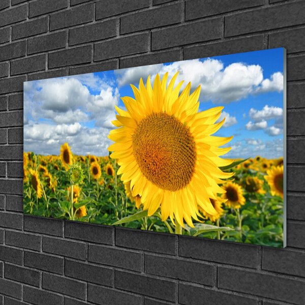 Skleneny obraz Slnečnica kvet rastlina 100x50 cm 2 Prívesky