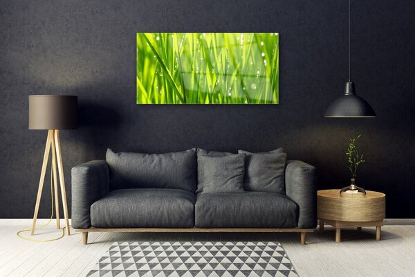 Skleneny obraz Tráva rastlina príroda 100x50 cm 2 Prívesky