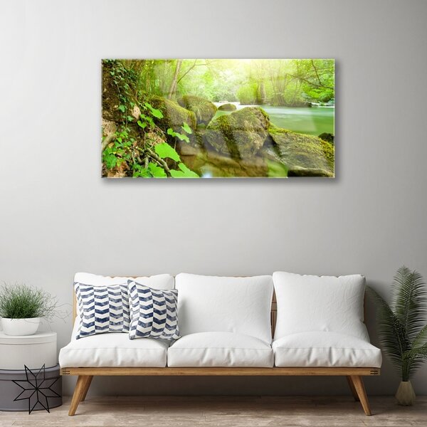 Skleneny obraz Jazero kamene príroda 100x50 cm 2 Prívesky