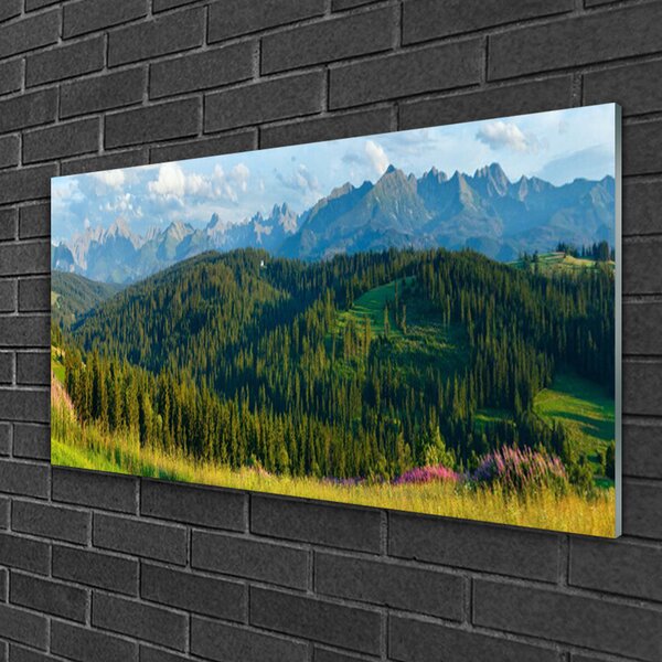 Skleneny obraz Hora les príroda 100x50 cm 2 Prívesky
