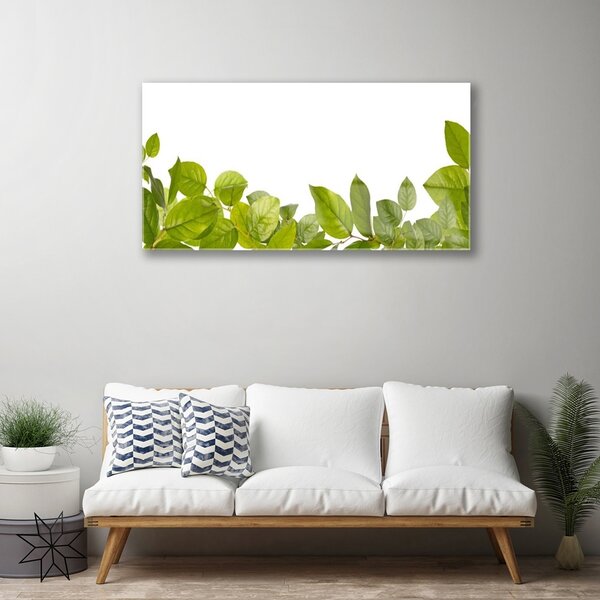 Skleneny obraz Listy príroda rastlina 100x50 cm 2 Prívesky