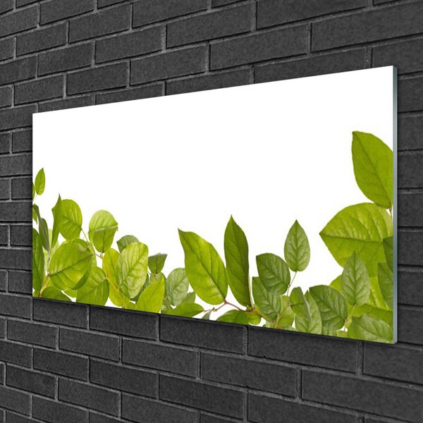 Skleneny obraz Listy príroda rastlina 100x50 cm 2 Prívesky
