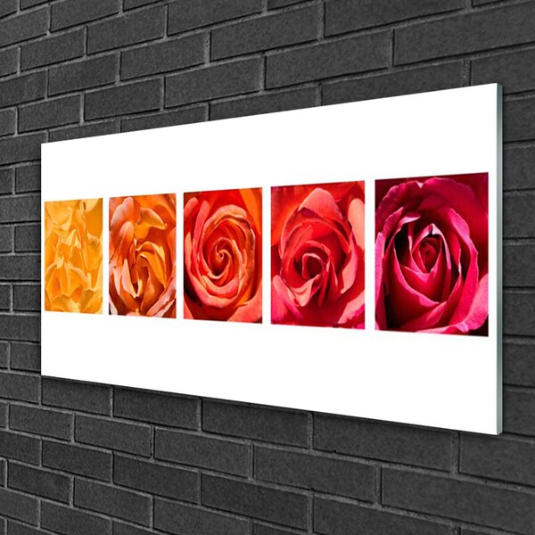 Skleneny obraz Ruže kvety rastlina 100x50 cm 2 Prívesky