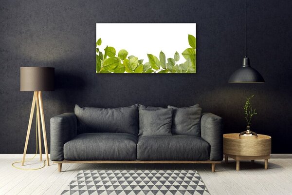 Skleneny obraz Listy príroda rastlina 100x50 cm 2 Prívesky